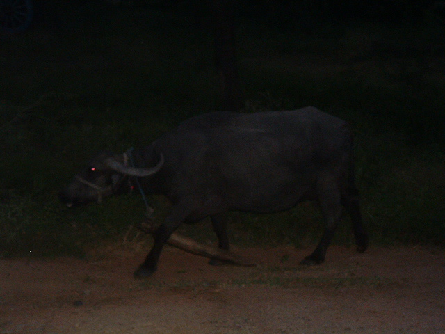  DSCF0389.JPG