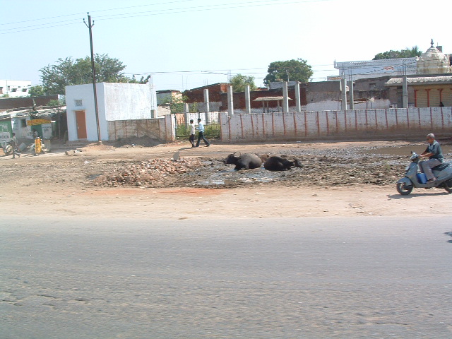 DSCF0179.JPG