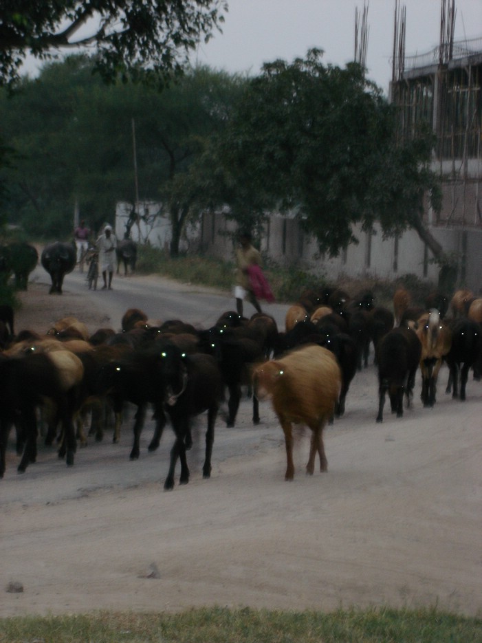 DSC03870.JPG