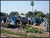 DSC03653.JPG