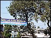 DSC03691.JPG