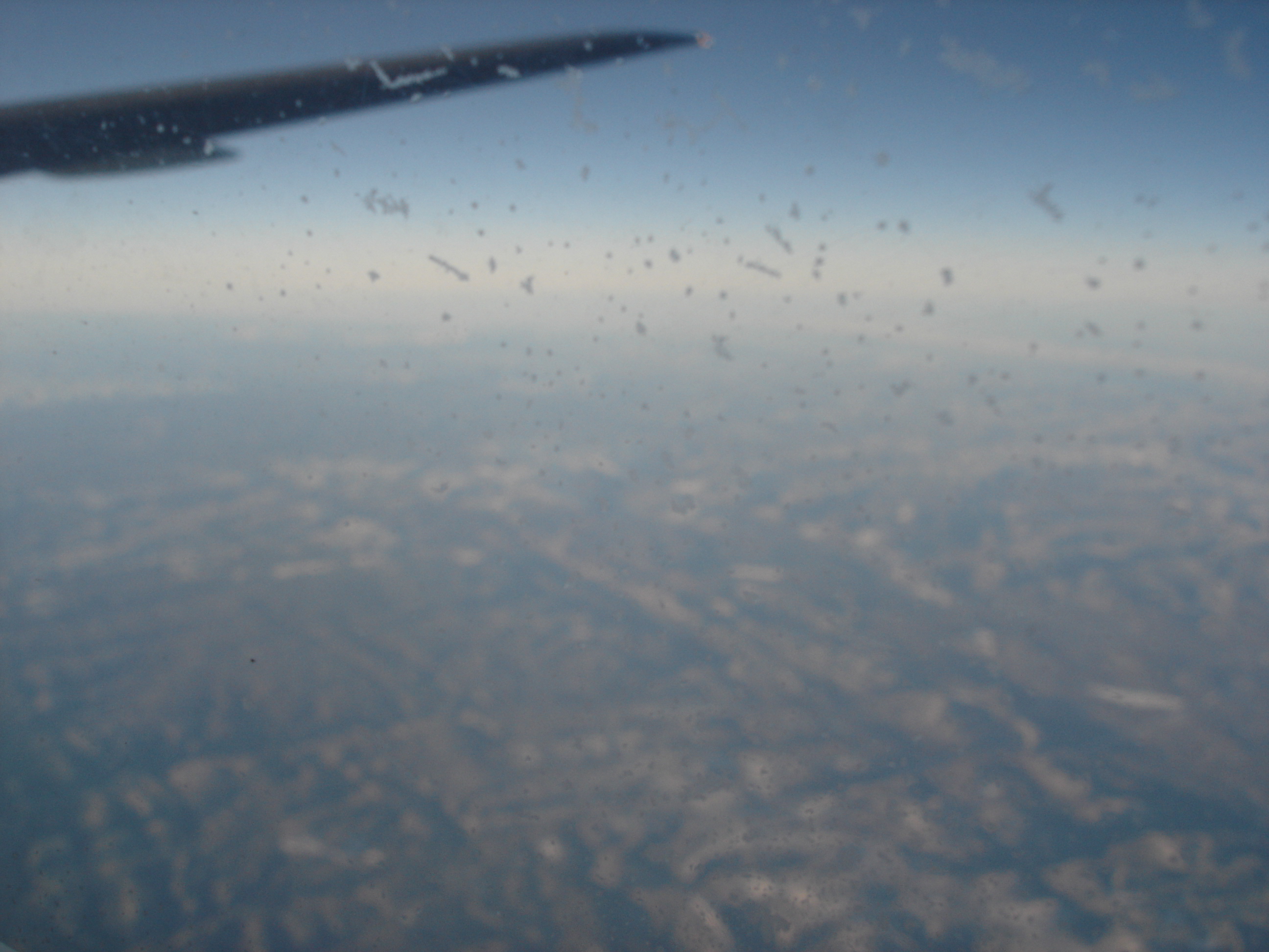 DSC00914.JPG