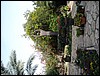 DSC00707.JPG