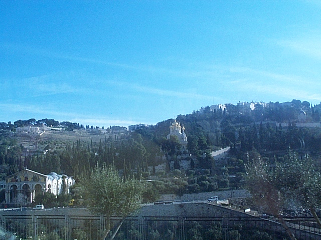 DCP_1100.JPG