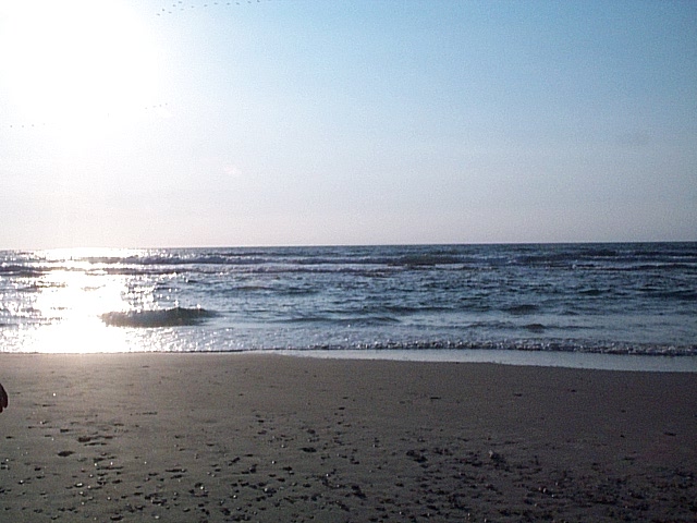 DCP_1125.JPG