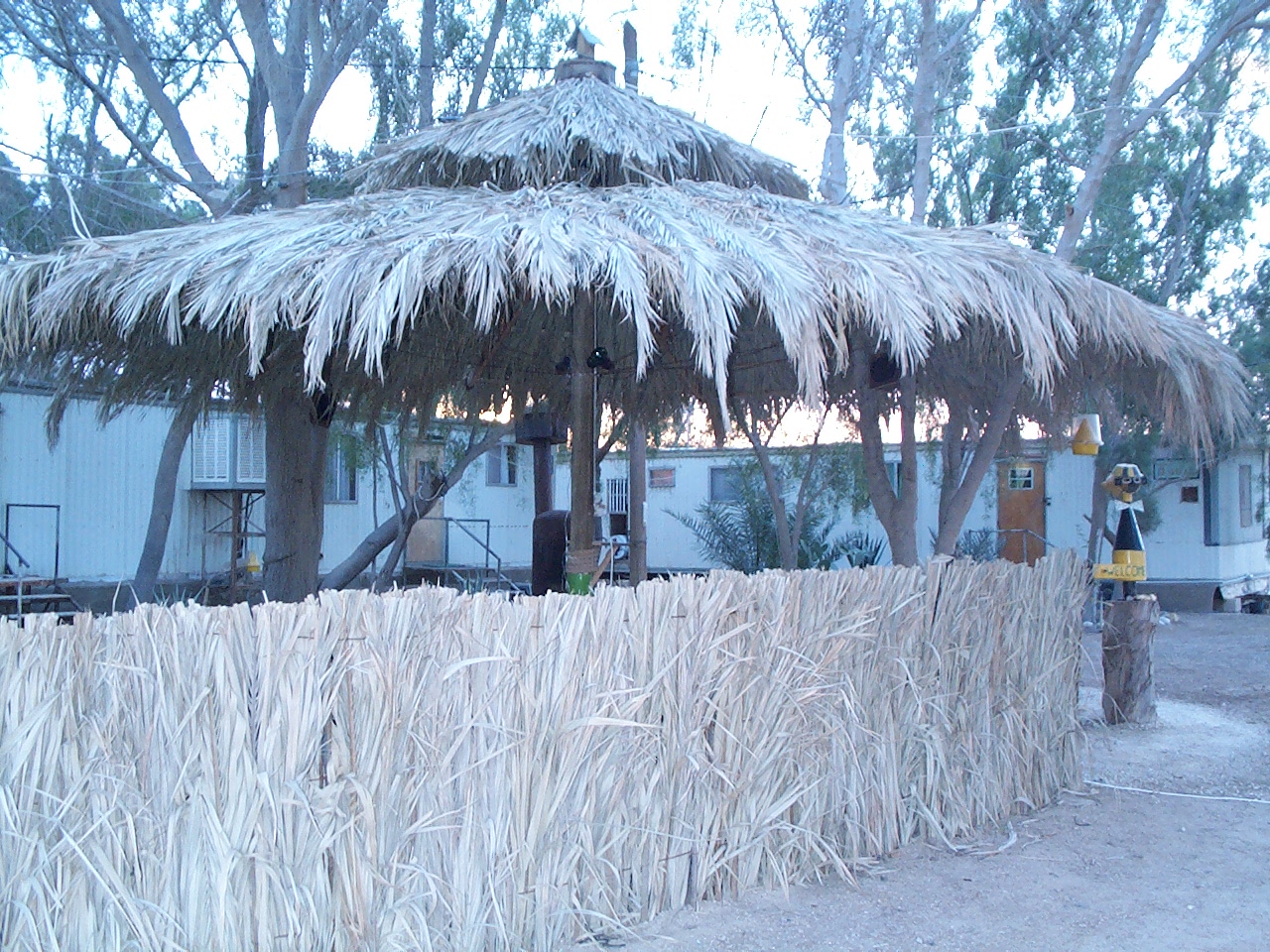 DCP_1172.JPG
