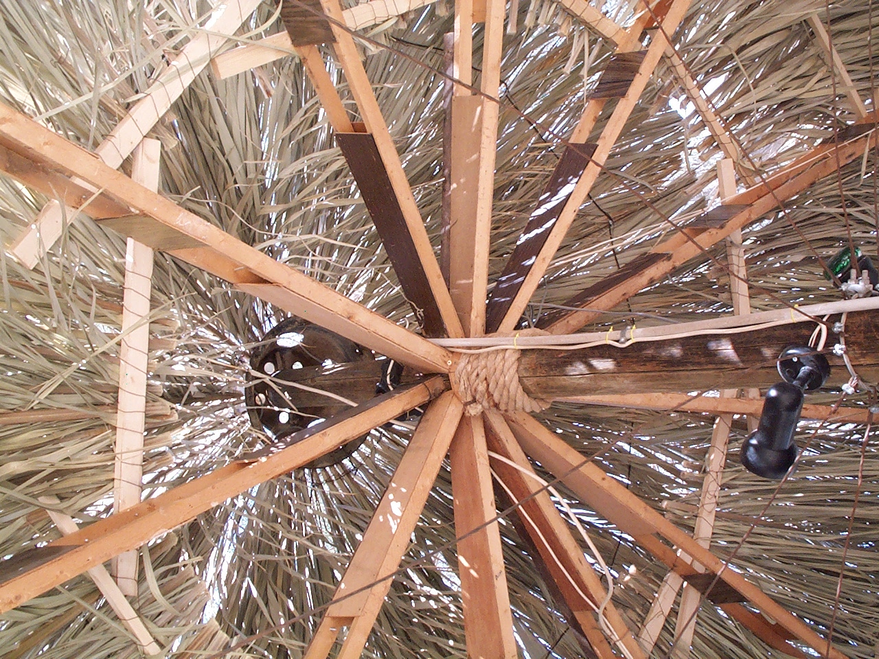 DCP_1230.JPG