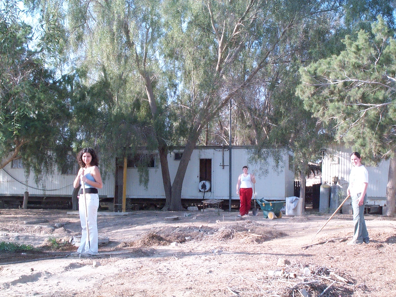 DCP_1282.JPG