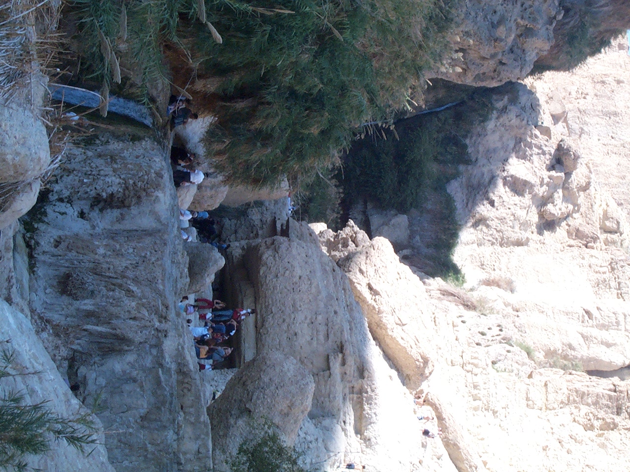 DCP_1305.JPG