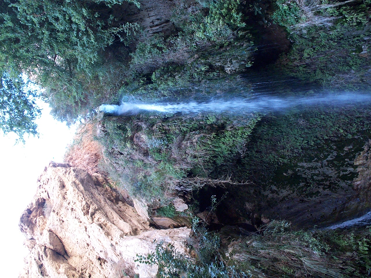 DCP_1309.JPG