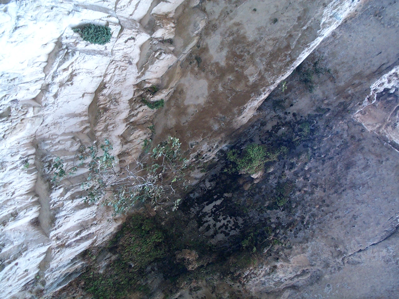 DCP_1318.JPG