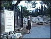 DCP_1070.JPG