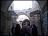 DCP_1109.JPG