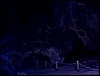 DCP_1163.JPG
