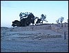 DCP_1174.JPG