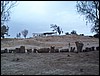 DCP_1183.JPG