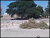 DCP_1215.JPG