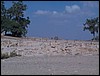 DCP_1216.JPG