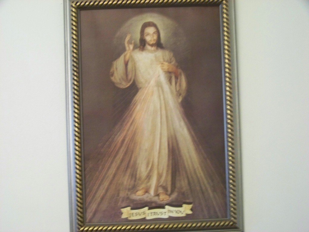100_0537.jpg