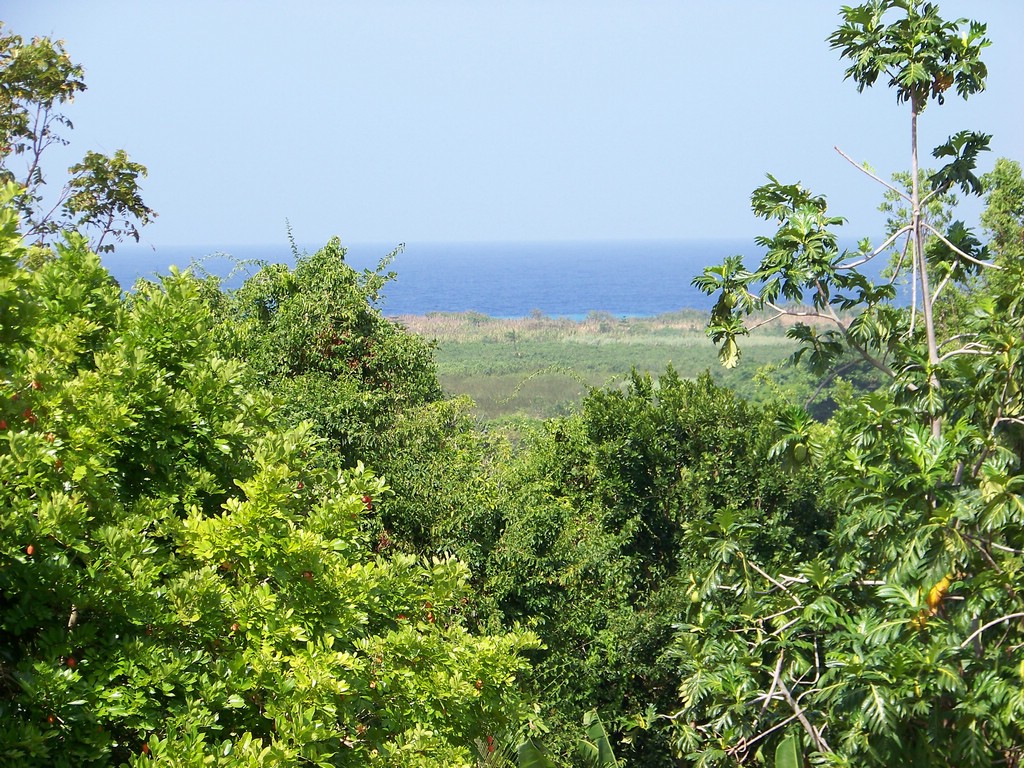 100_0667.jpg