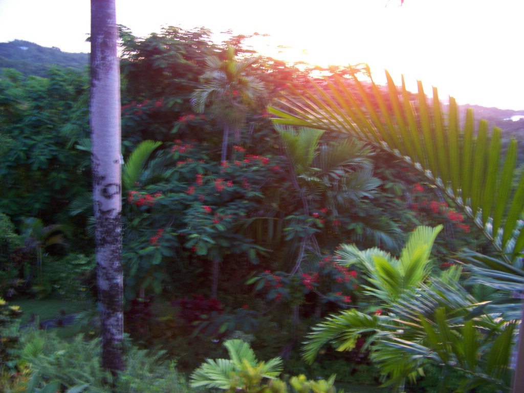 100_0809.jpg