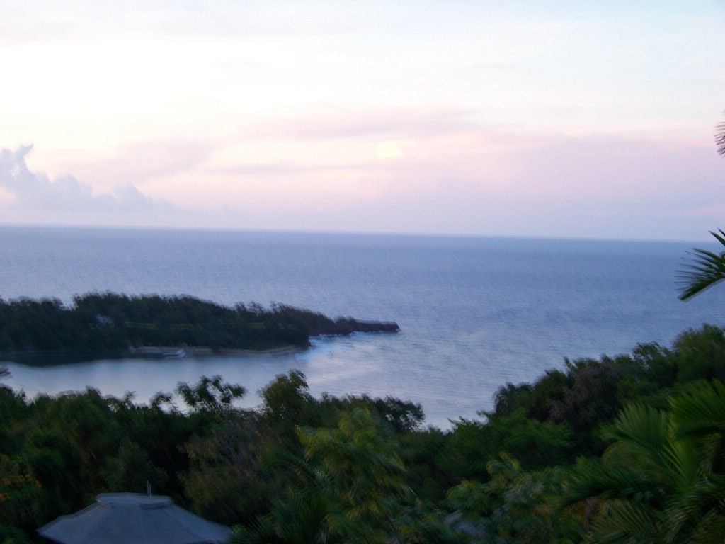 100_0811.jpg