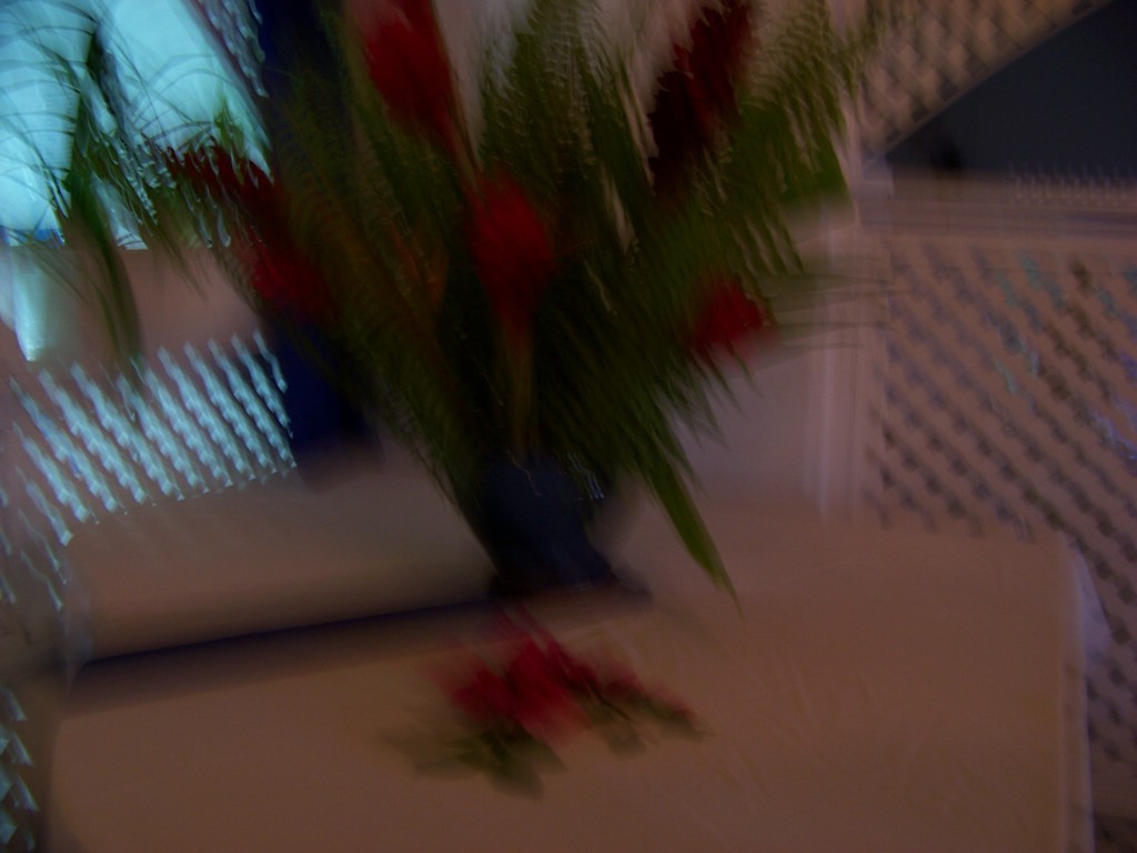 100_0814.jpg