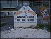 100_0525.jpg
