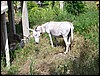 100_0661.jpg