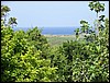 100_0667.jpg