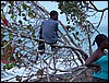 100_0720.jpg
