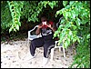 100_0774.jpg