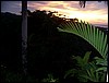 100_0808.jpg