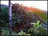 100_0809.jpg