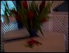 100_0814.jpg