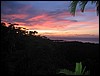 IMG_2781.jpg