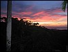 IMG_2782.jpg