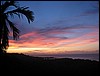 IMG_2783.jpg