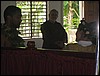 IMG_2792.jpg