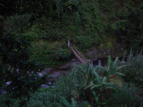 DSC00162.JPG