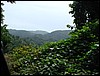 DSC00030.JPG