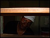 DSC00049.JPG
