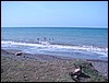 DSC00567.JPG