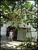 DSC00658.JPG