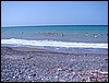 DSC00556.JPG