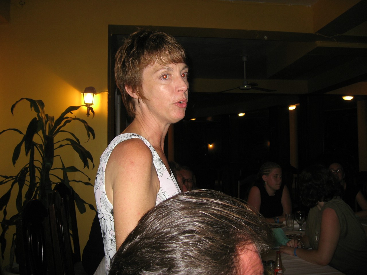 Jamaica Aug2006 387.jpg