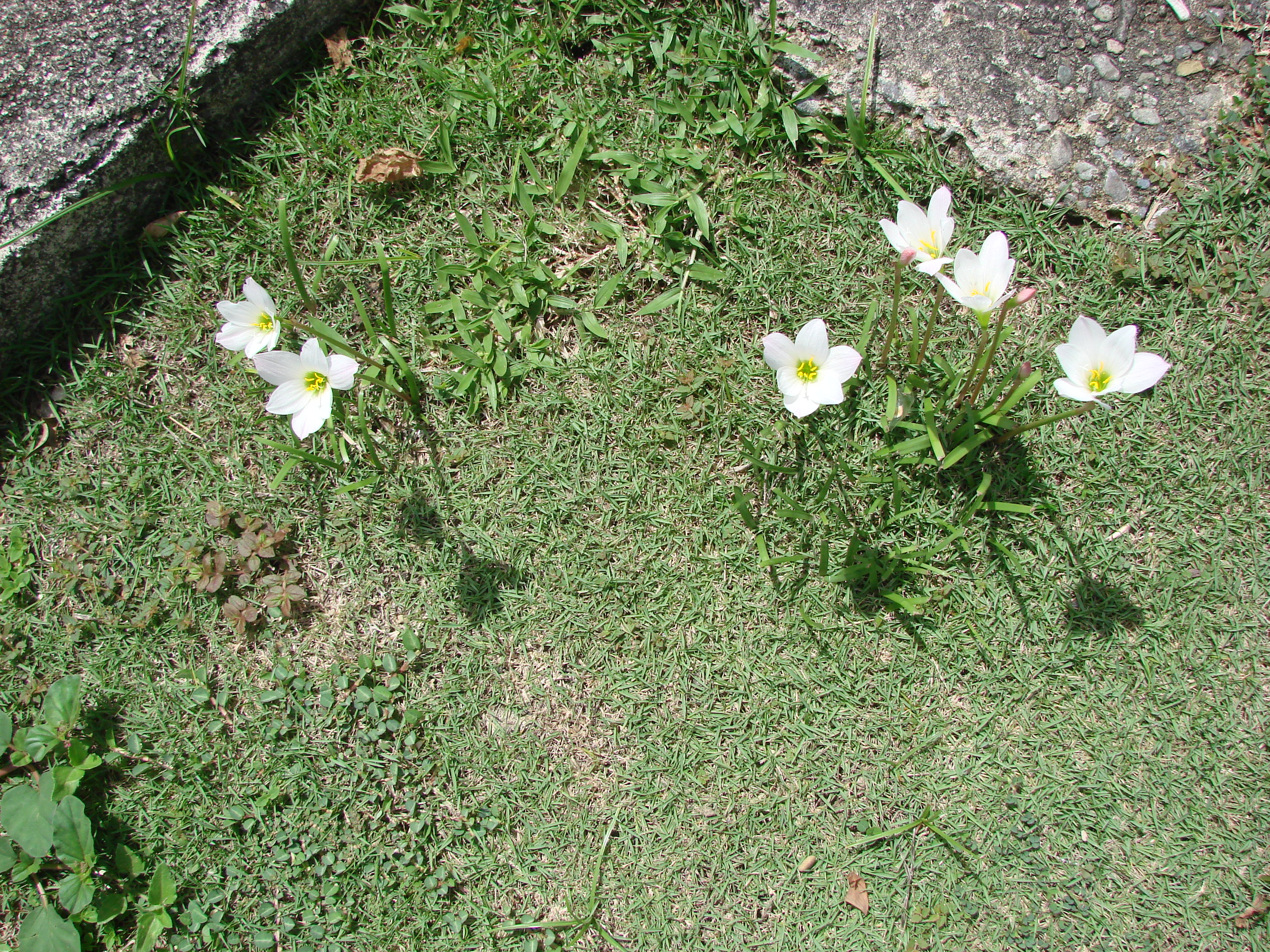 DSC05107.JPG