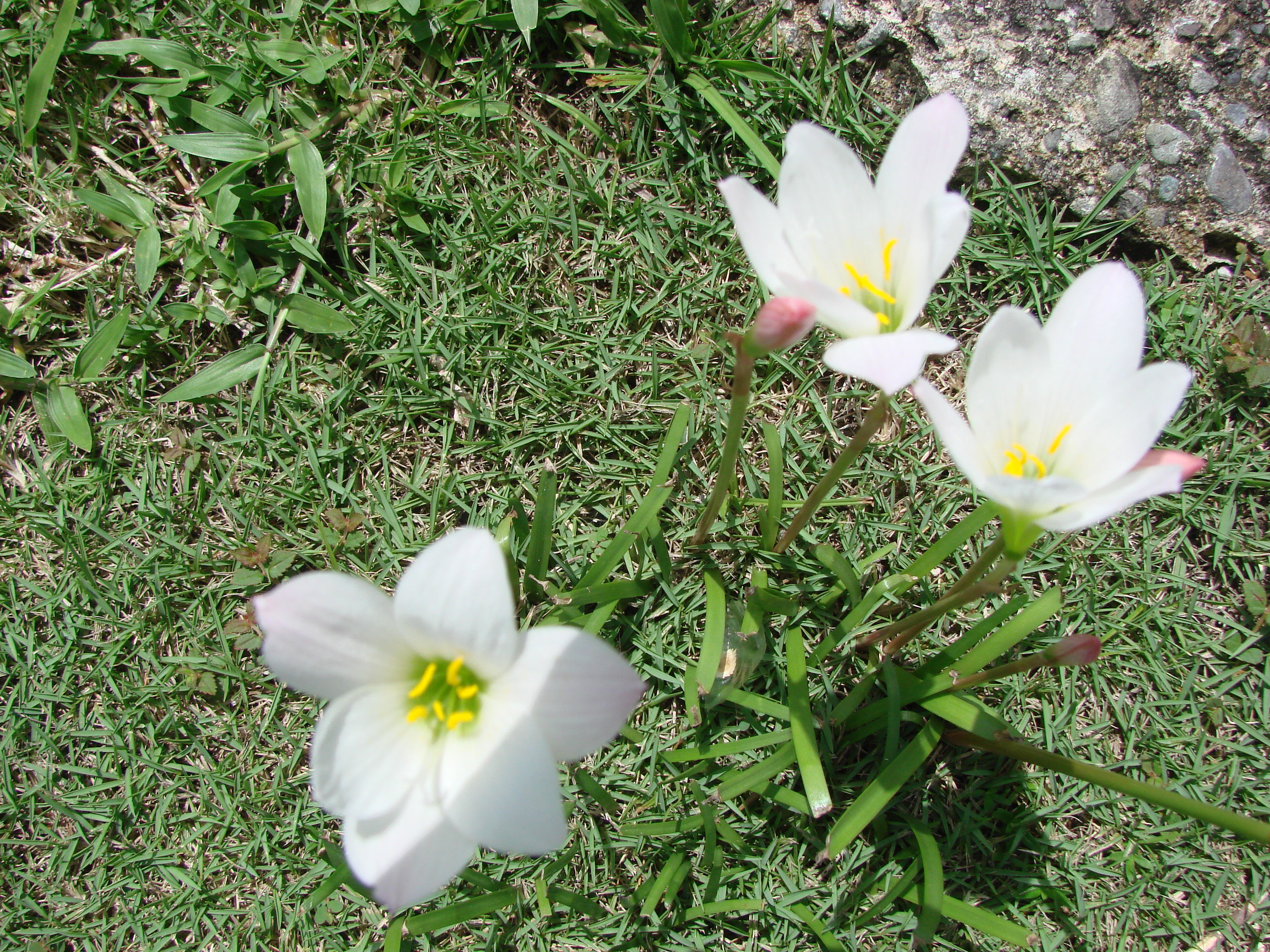 DSC05108.JPG