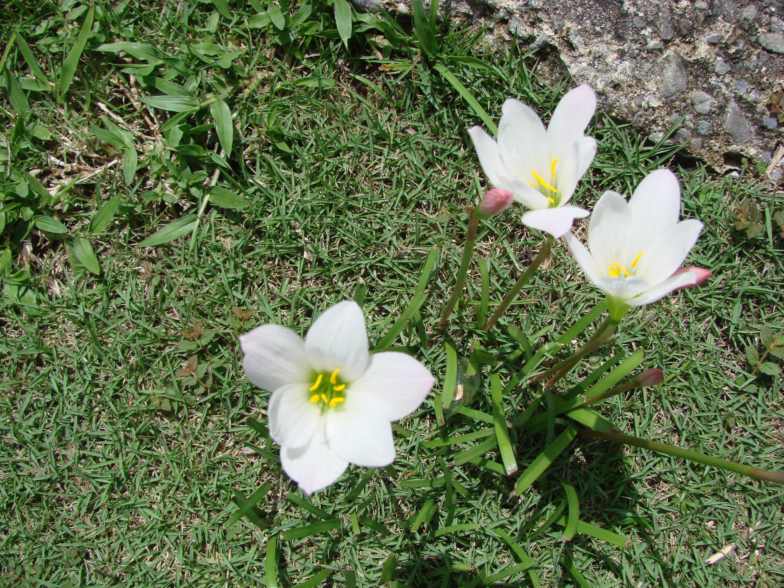 DSC05109.JPG