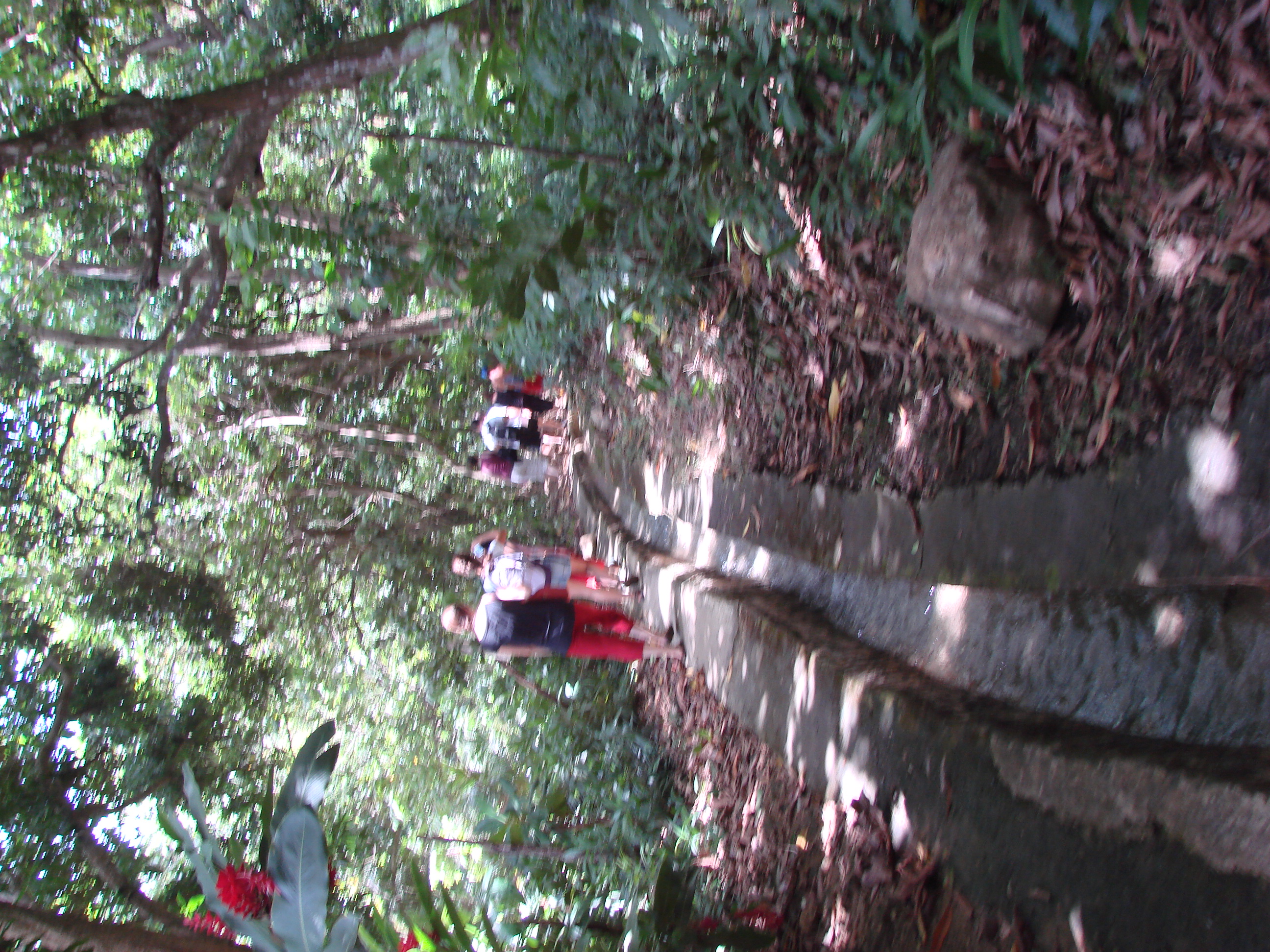 DSC05120.JPG